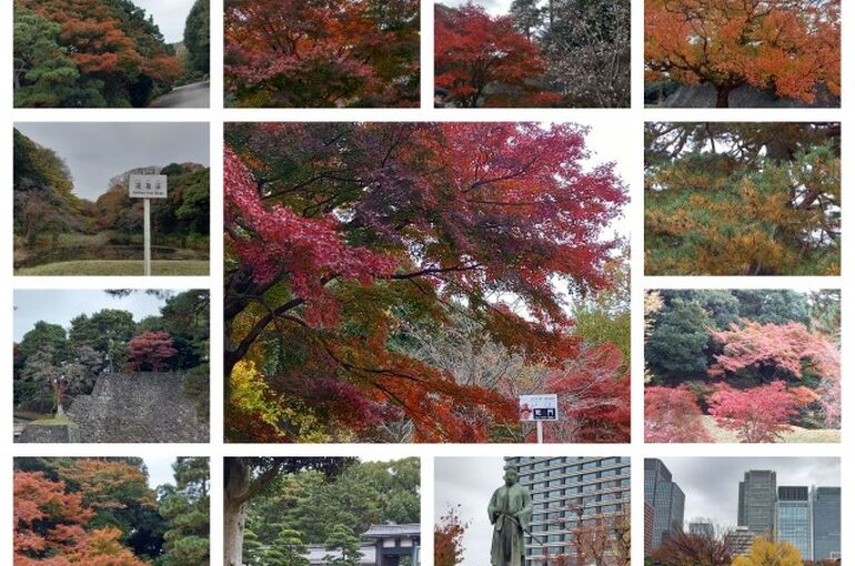 PhotoCollage_1669645116460